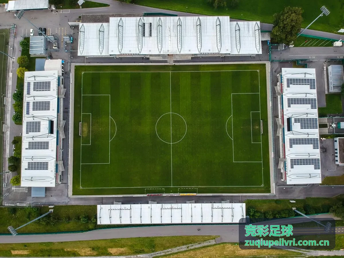 竞彩足球实时数据